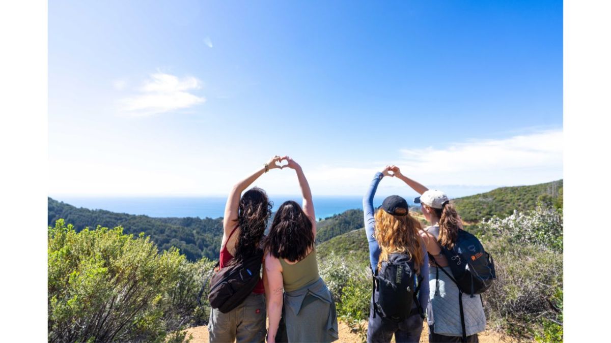 content.field_image.alt